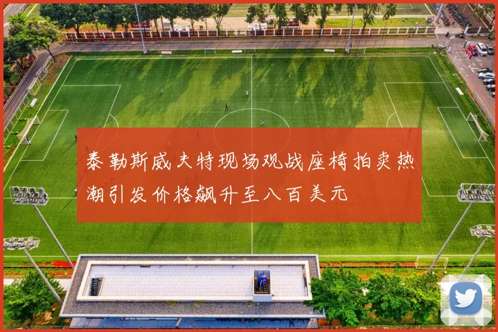 泰勒斯威夫特现场观战座椅拍卖热潮引发价格飙升至八百美元