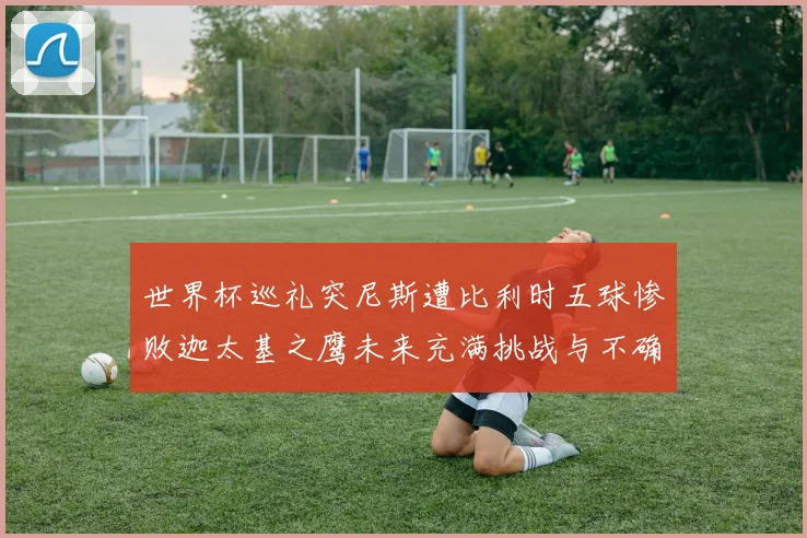 世界杯巡礼突尼斯遭比利时五球惨败迦太基之鹰未来充满挑战与不确定性