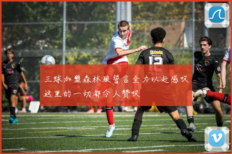 三球加盟森林狼誓言全力以赴感叹这里的一切都令人赞叹