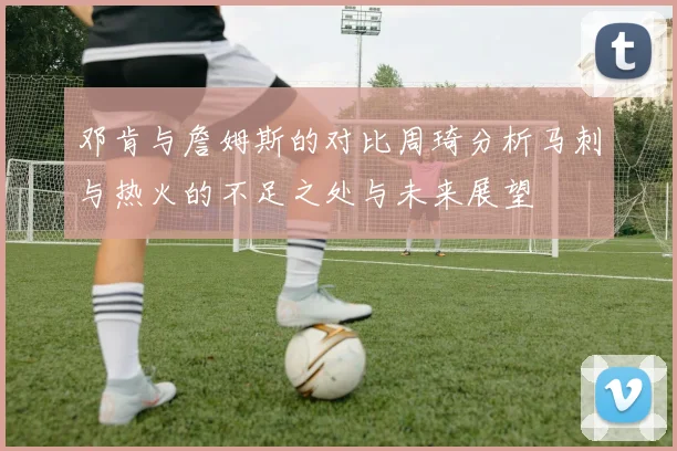 邓肯与詹姆斯的对比周琦分析马刺与热火的不足之处与未来展望